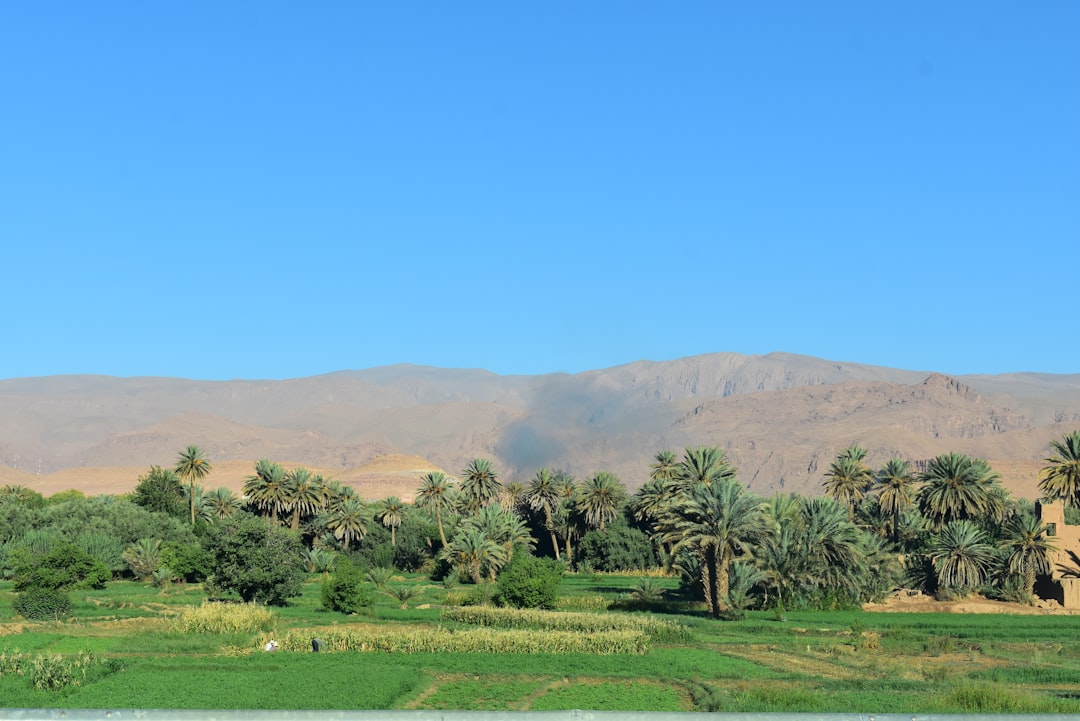 Ras Al Jinz