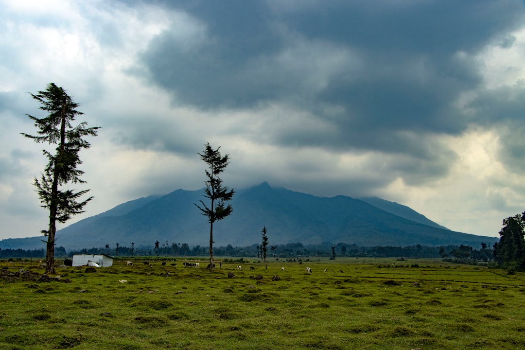 Volcans