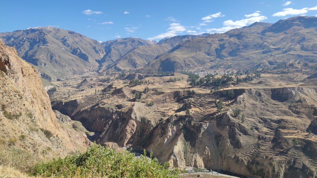 Colca