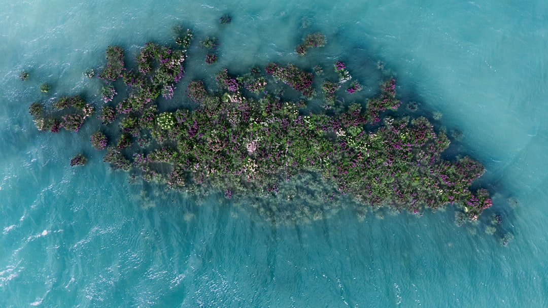 Flower Island