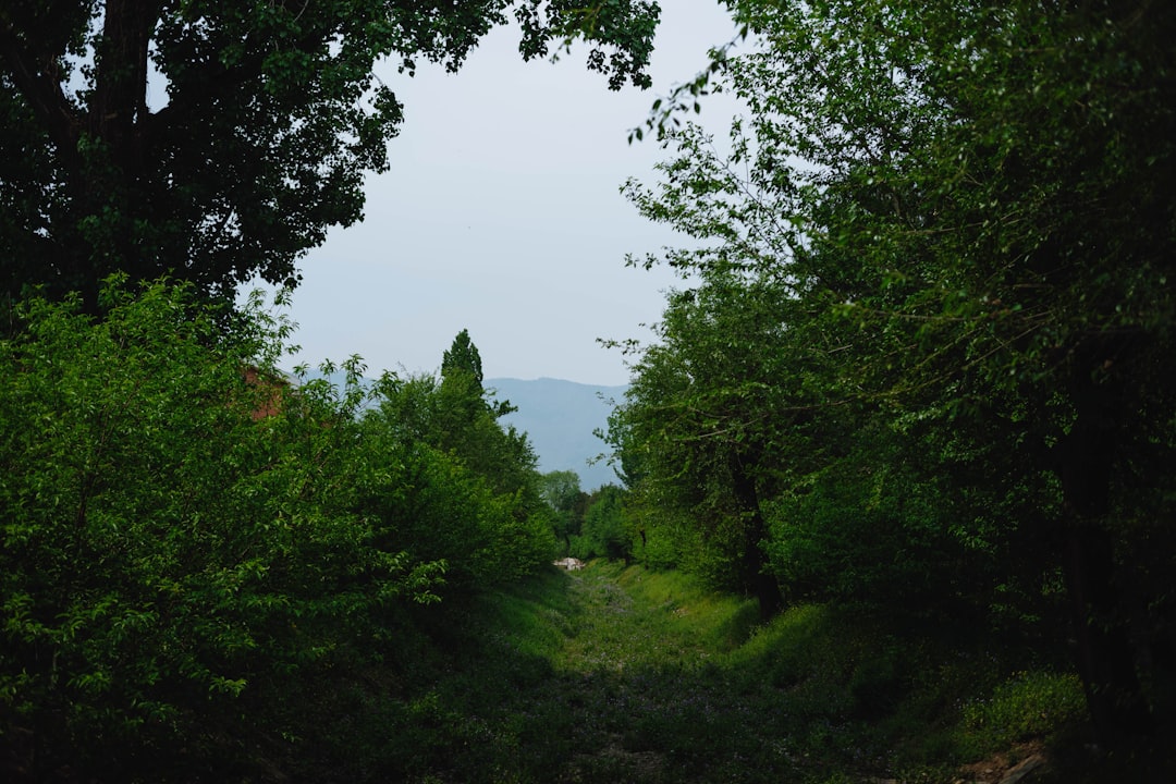 Entre-Deux