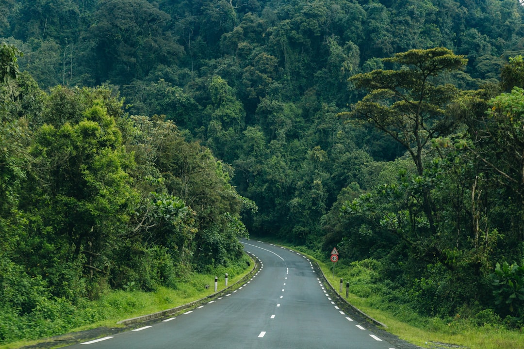 Nyungwe