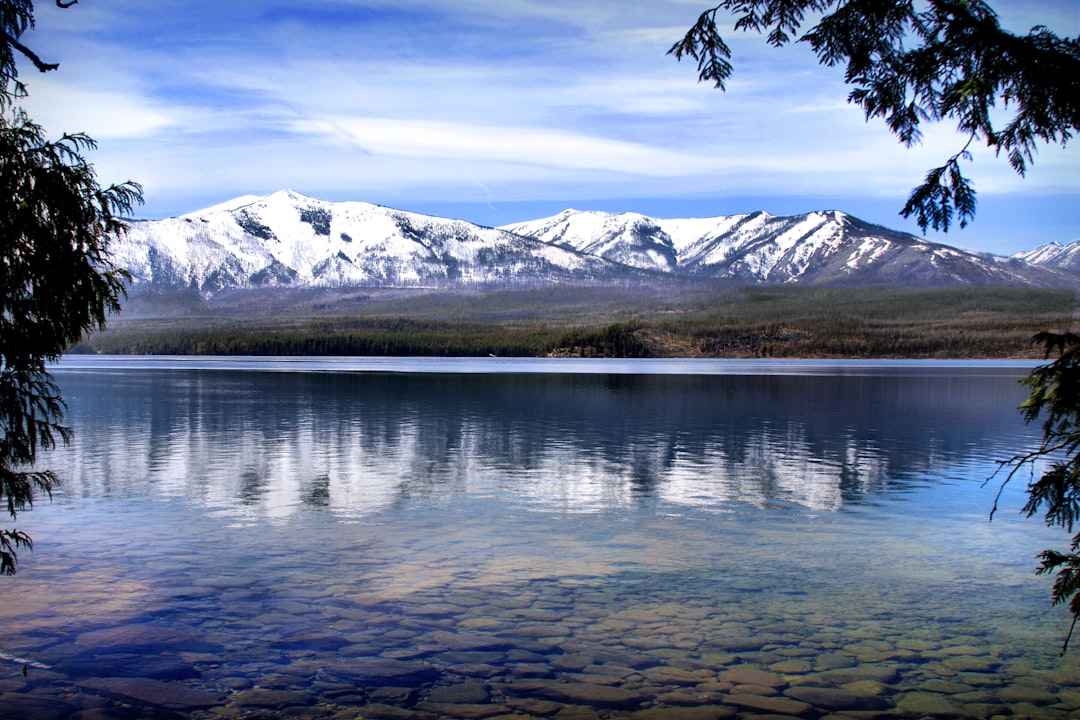 Volcans
