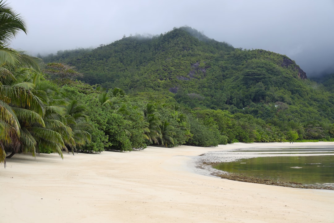 Ile Aride