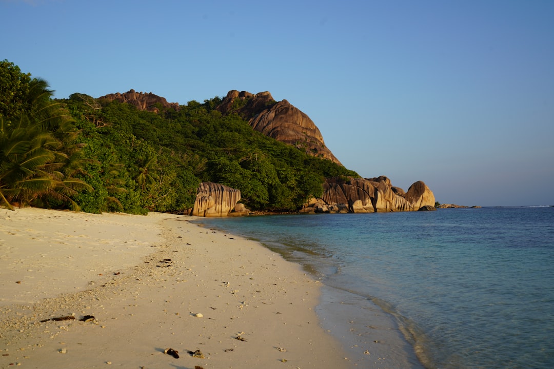 Ile Aride