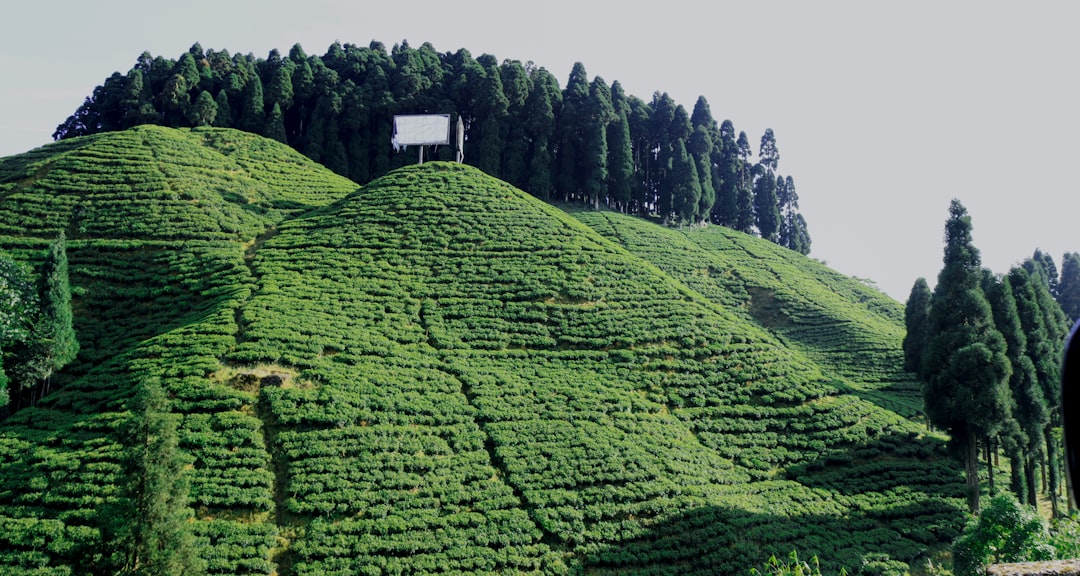 Mandaramnuwara
