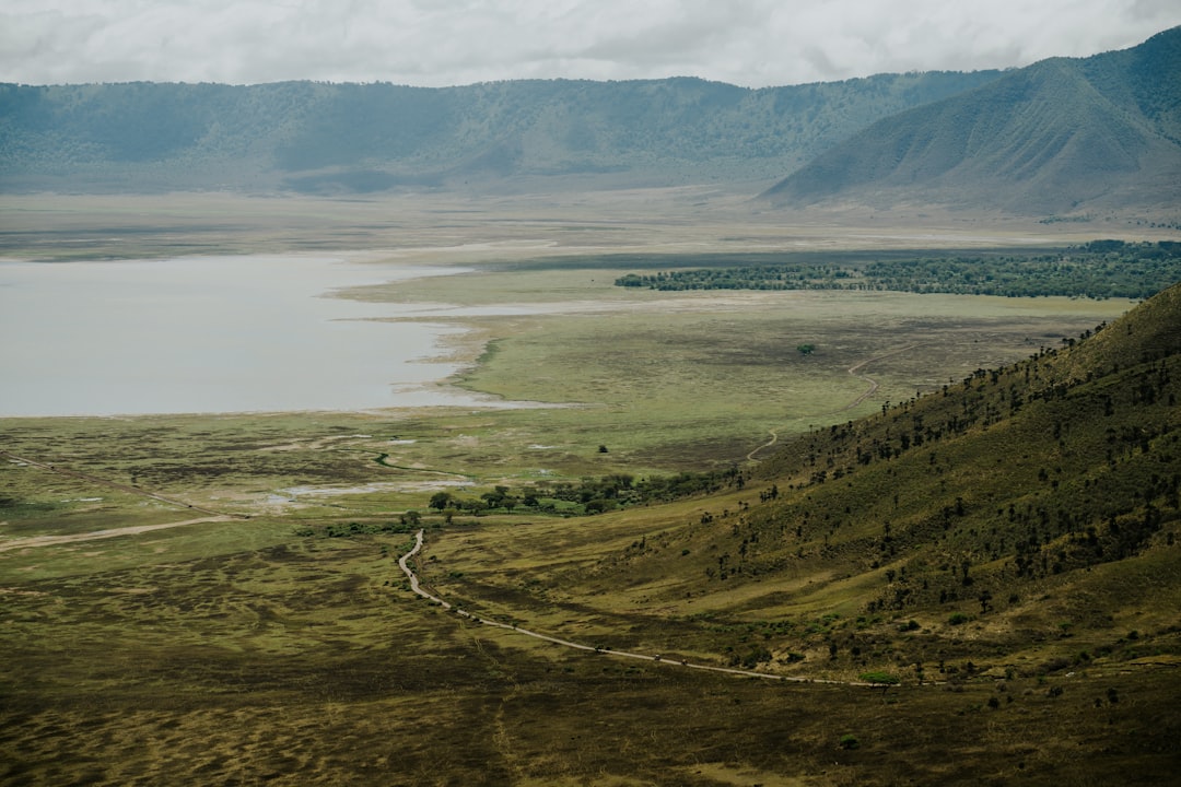 Ngorongoro