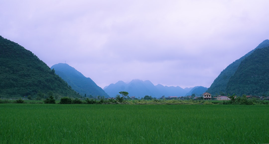 Khao Yai