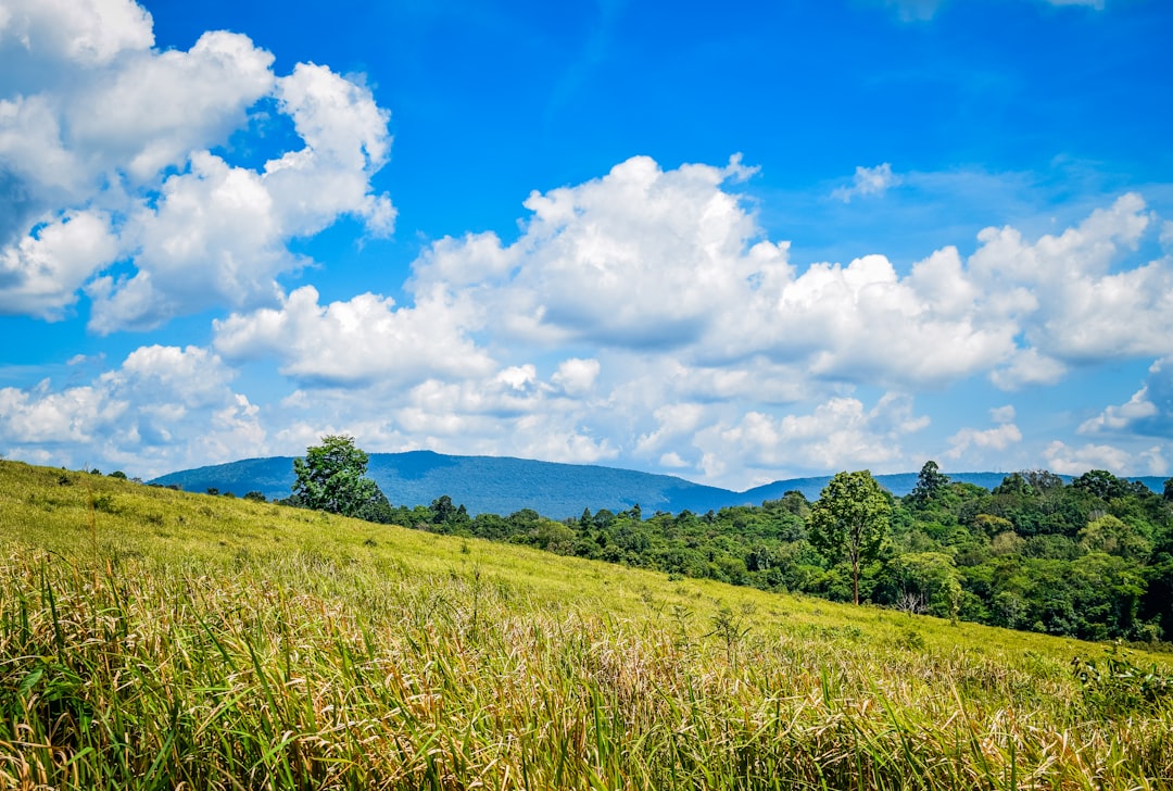 Khao Yai