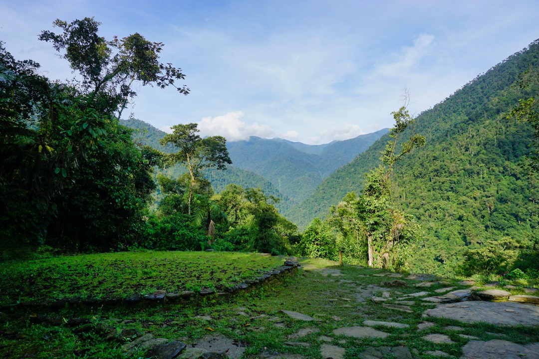 Mai Chau