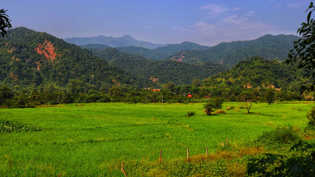 Mai Chau