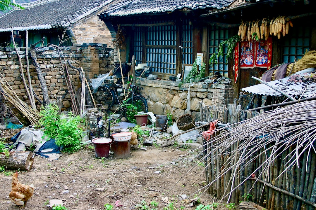 Hoang Su Phi