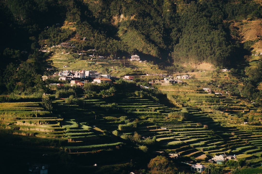 Mai Chau