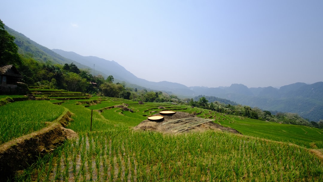 Mai Chau