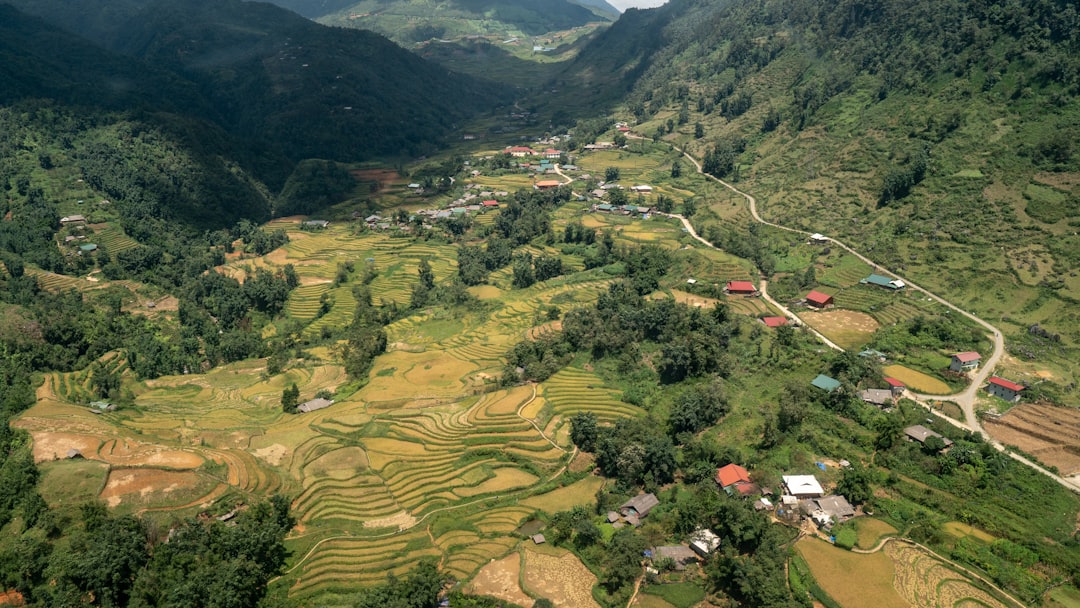 Sapa