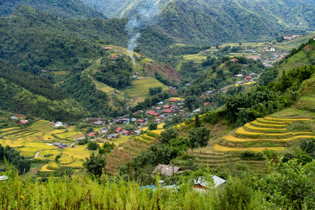 Sapa
