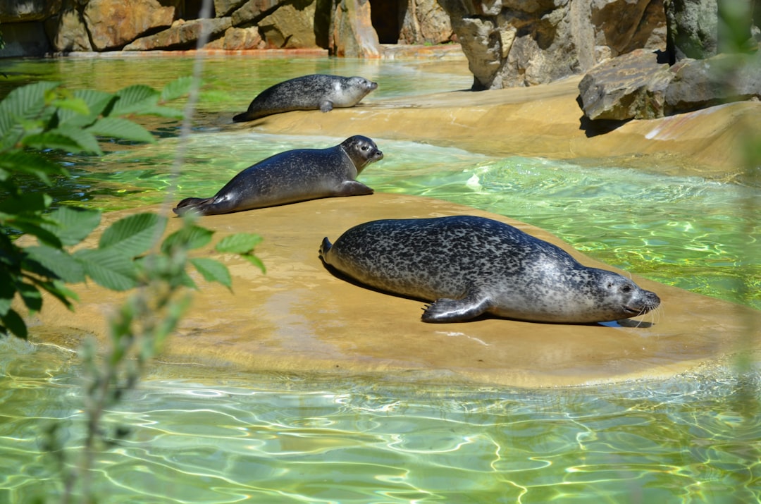 Parc National de Mana Pools