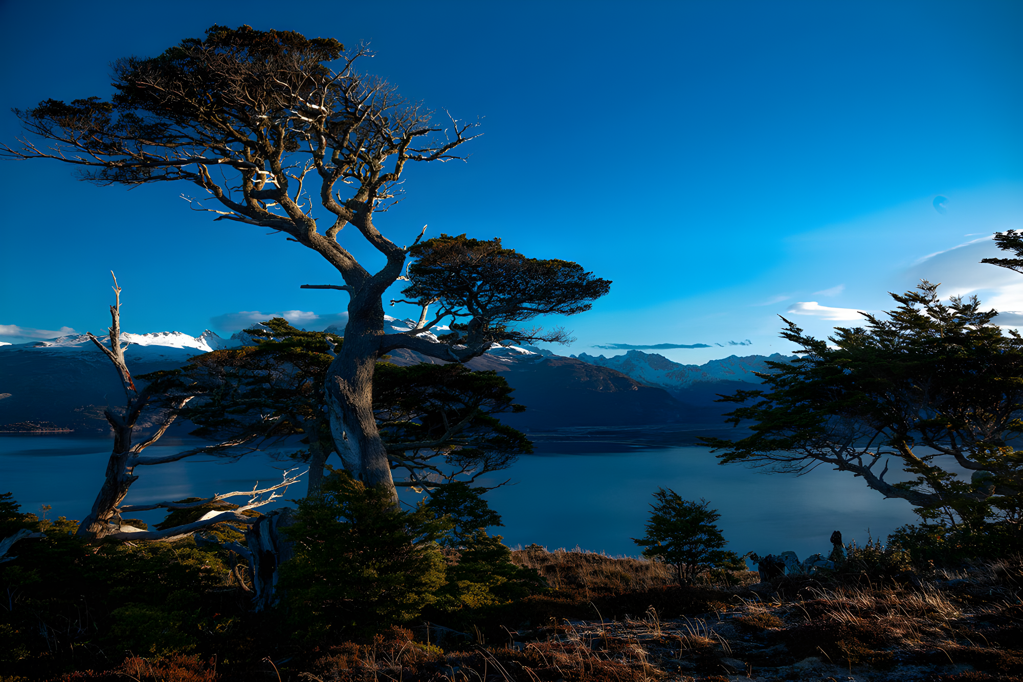 Un voyage en Terre de Feu by Explora