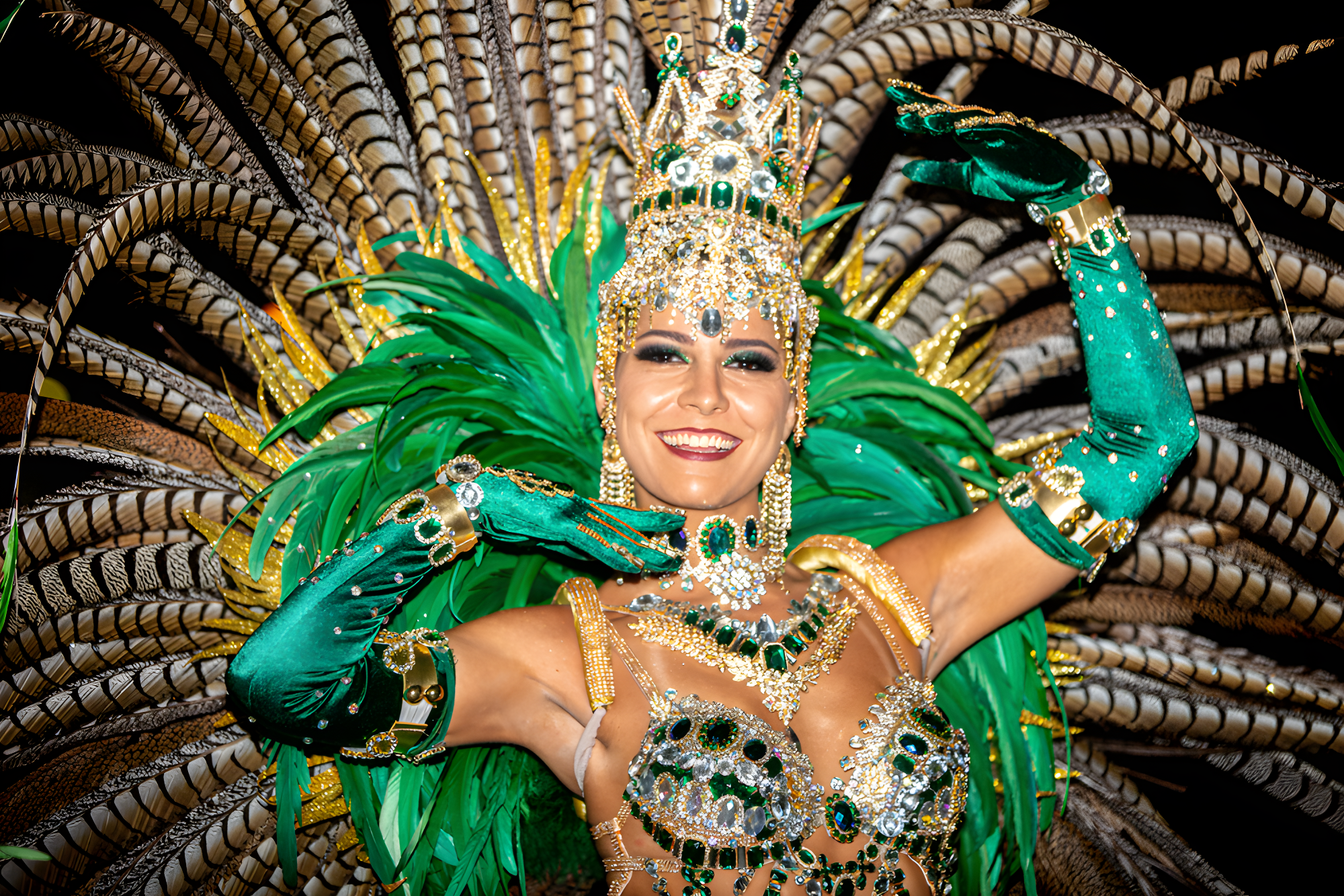 Couleurs du Carnaval de Rio