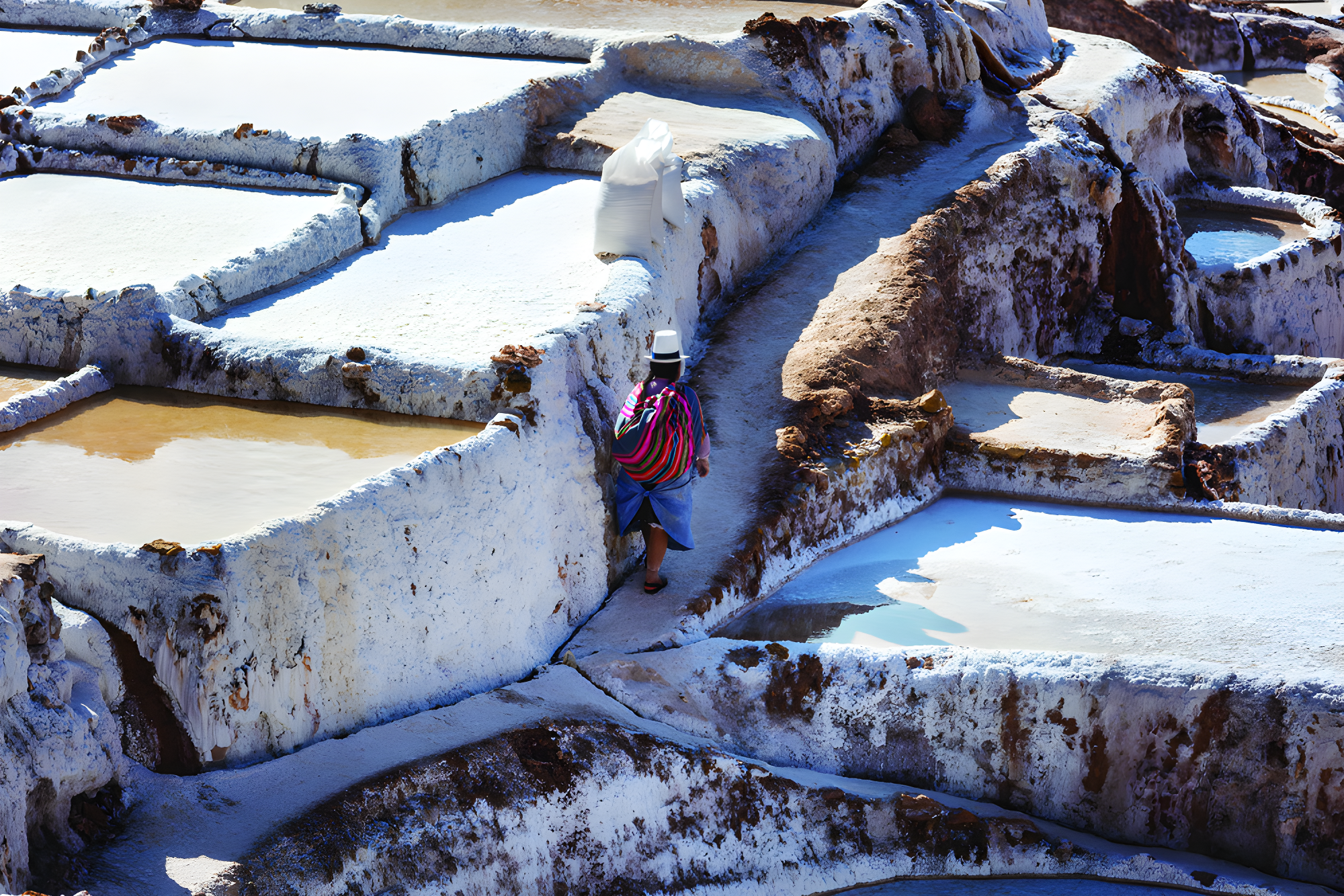 Vallée Sacrée et Amazonie