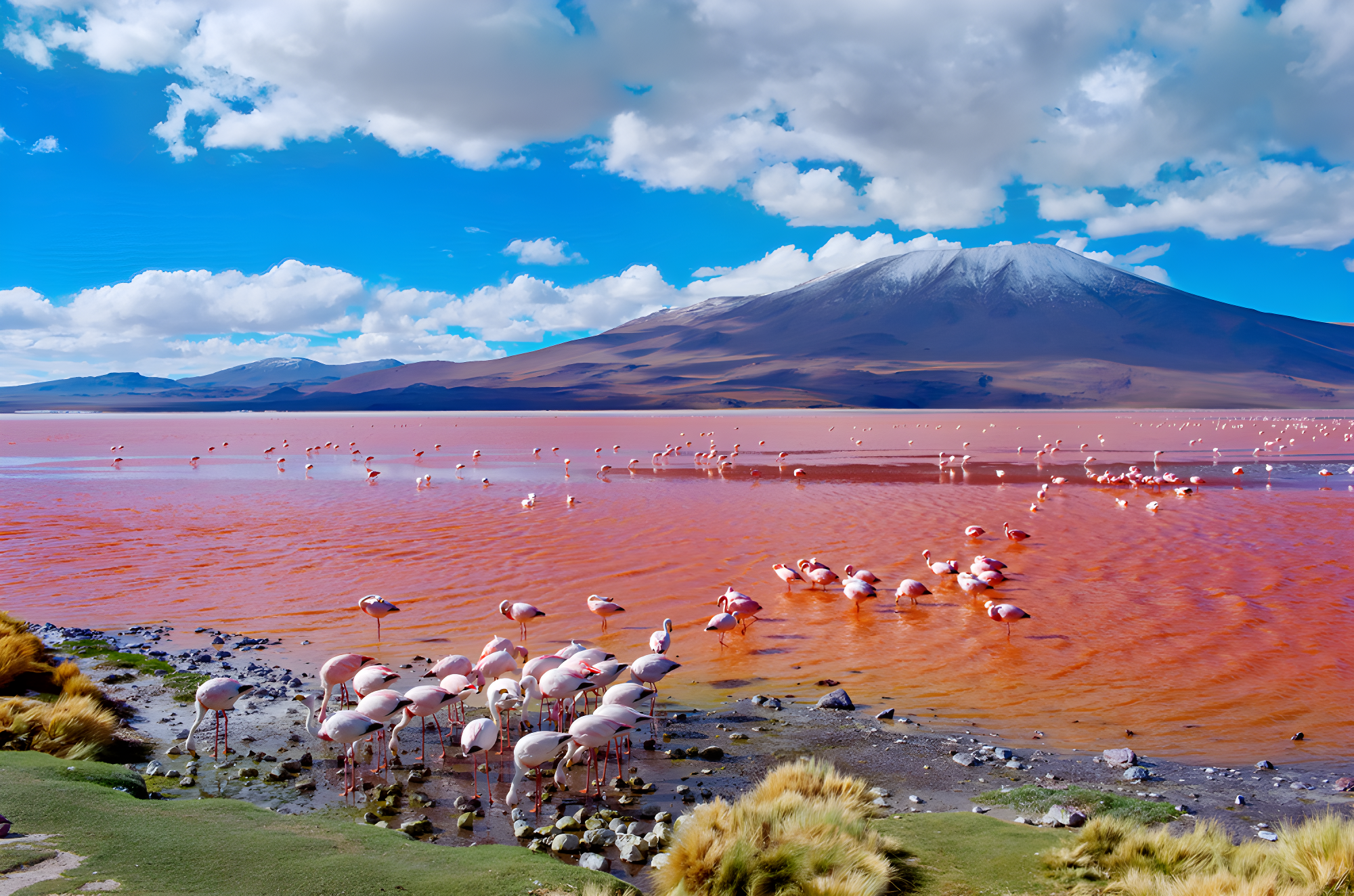 Lacs salés & Lagunes des Andes