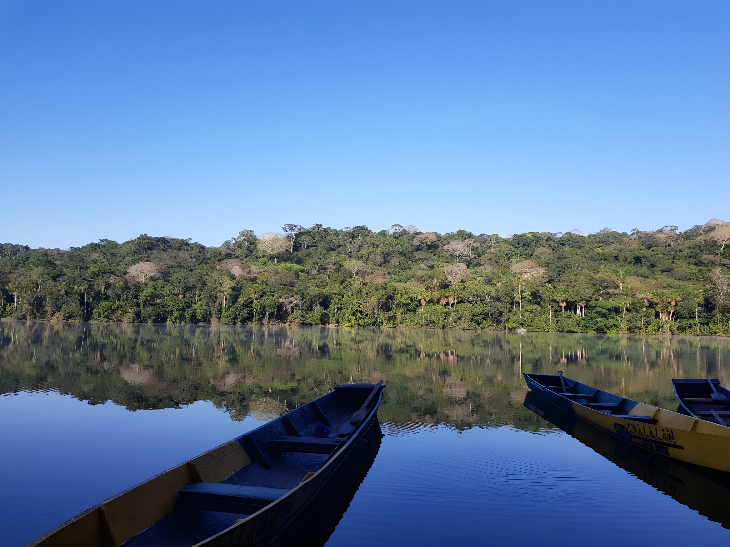 Amazonie Bolivienne : Chalalan