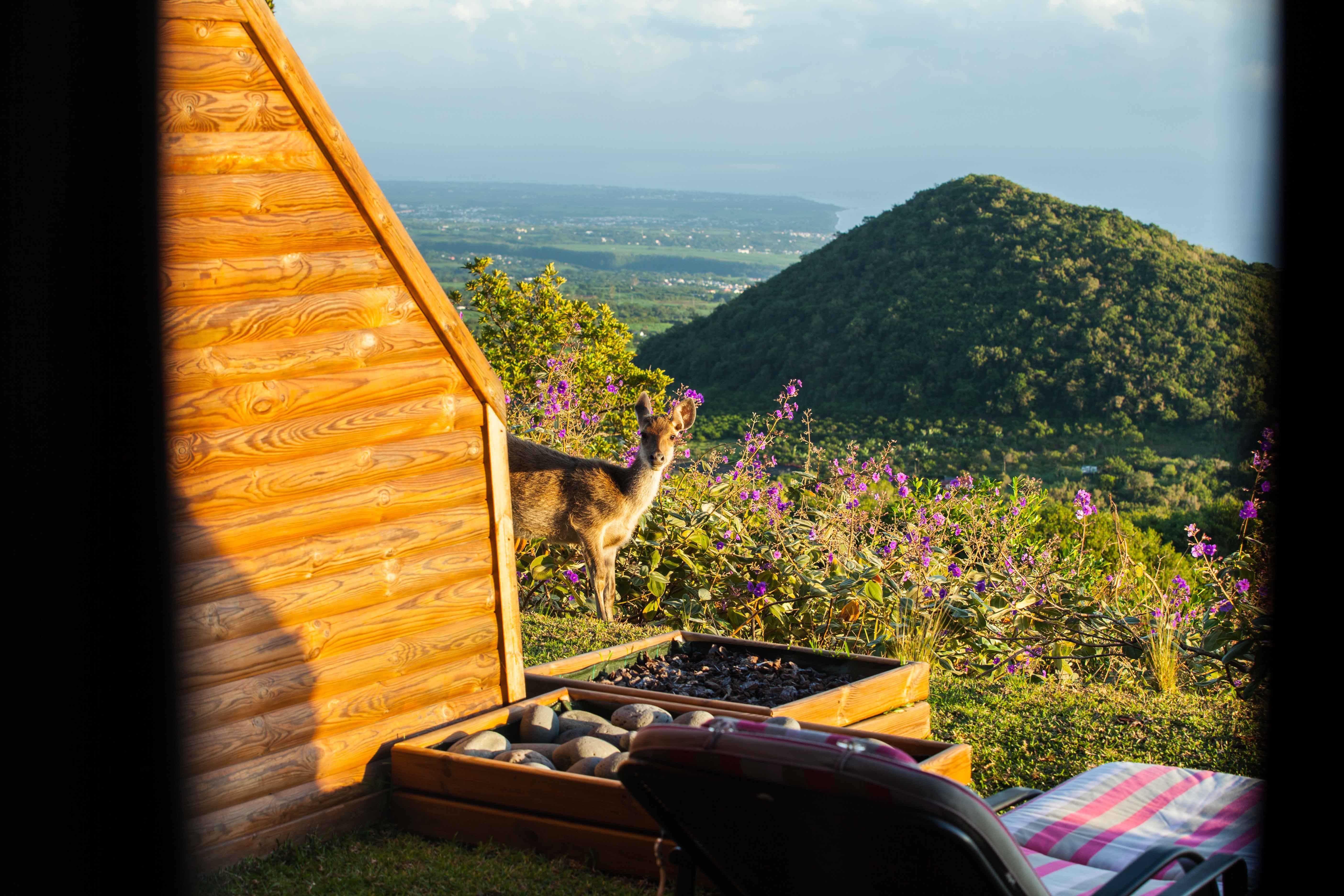 La Réunion Romantique