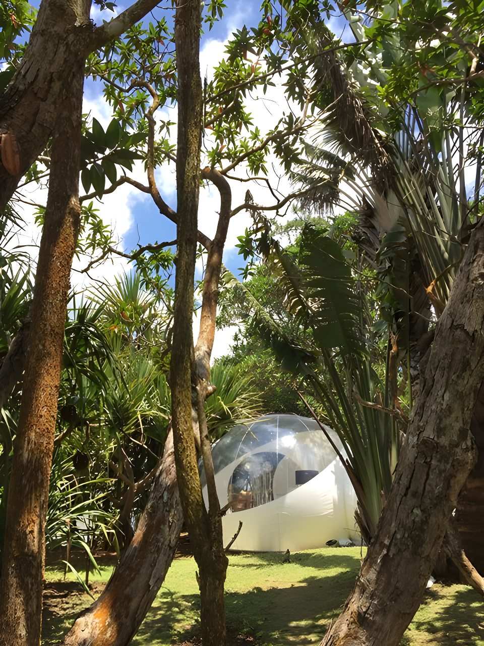 A la découverte de l'île Maurice