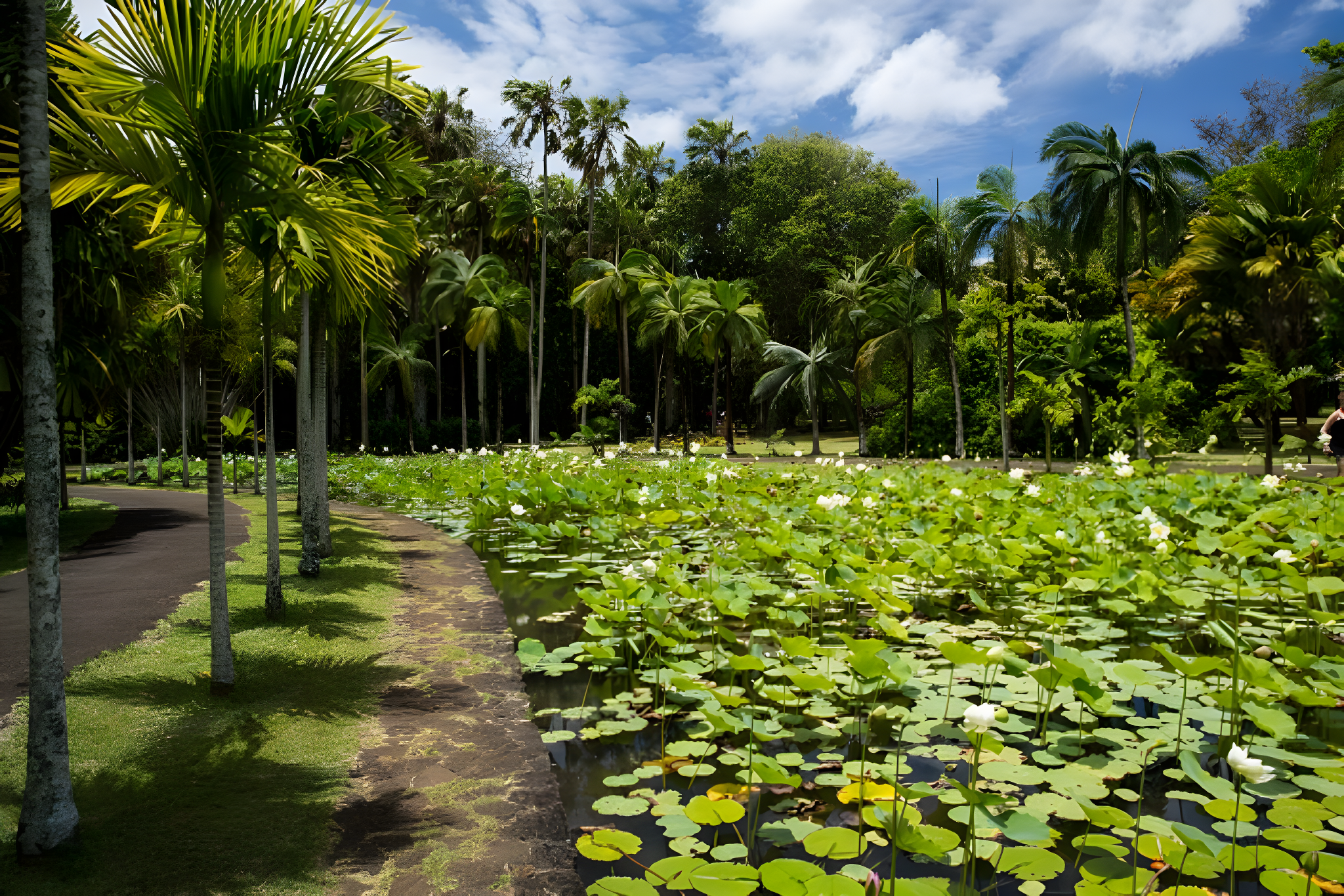 Maurice &  Rodrigues - Authenticité et Charme