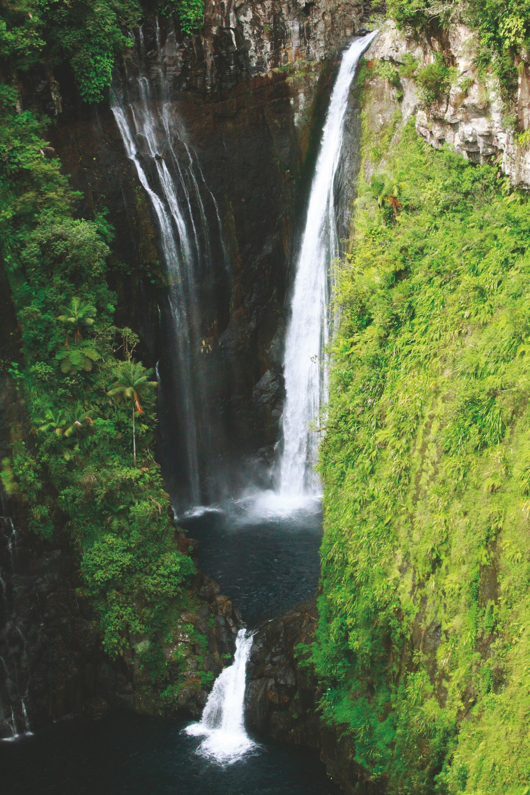 Nature et Traditions