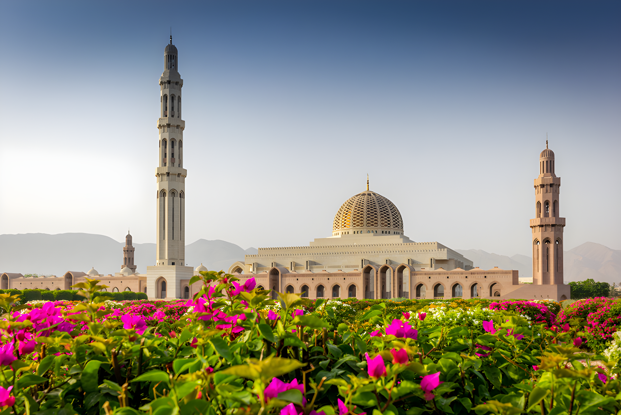 A la rencontre d'Oman