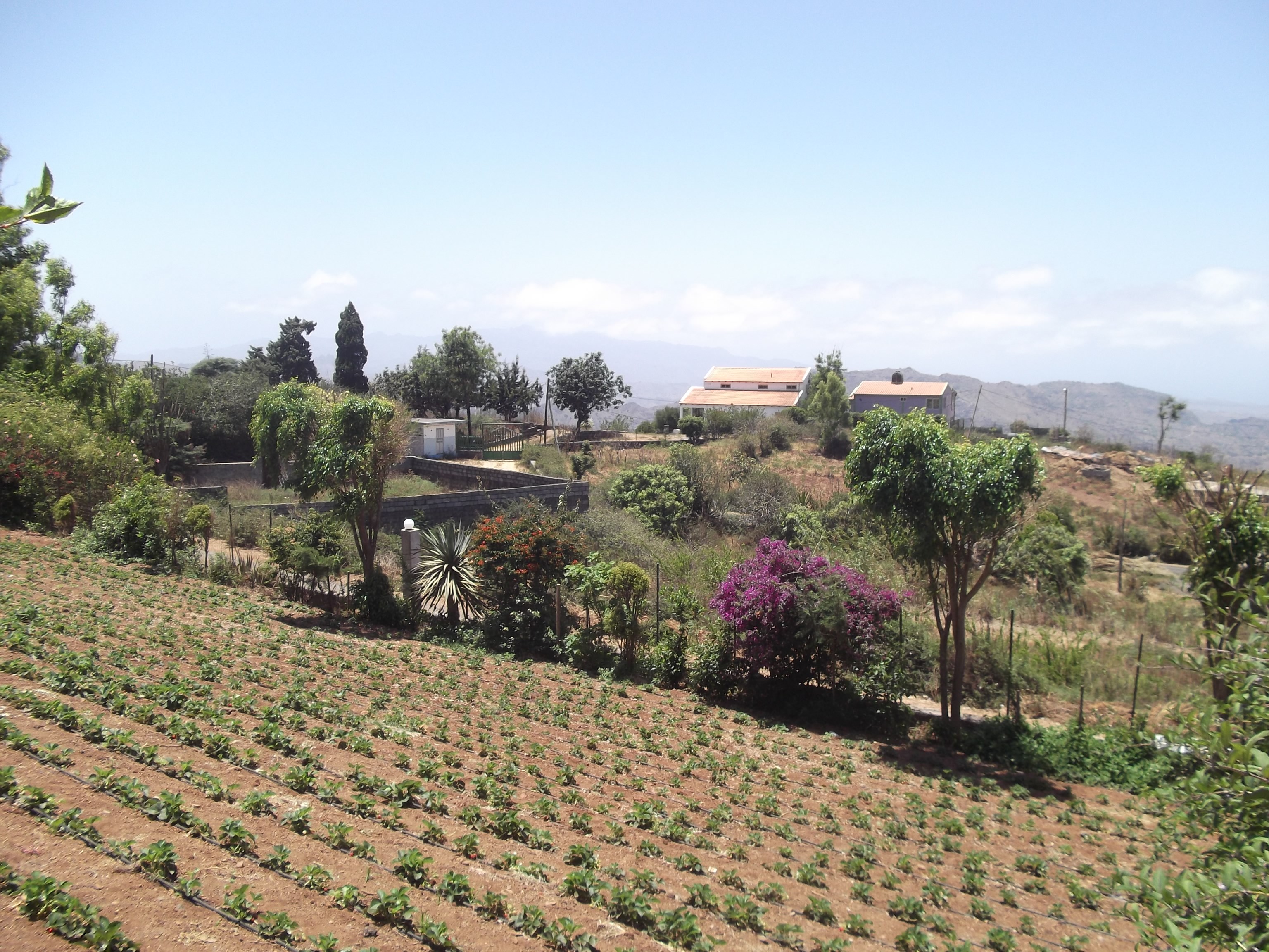 A la découverte de Santiago
