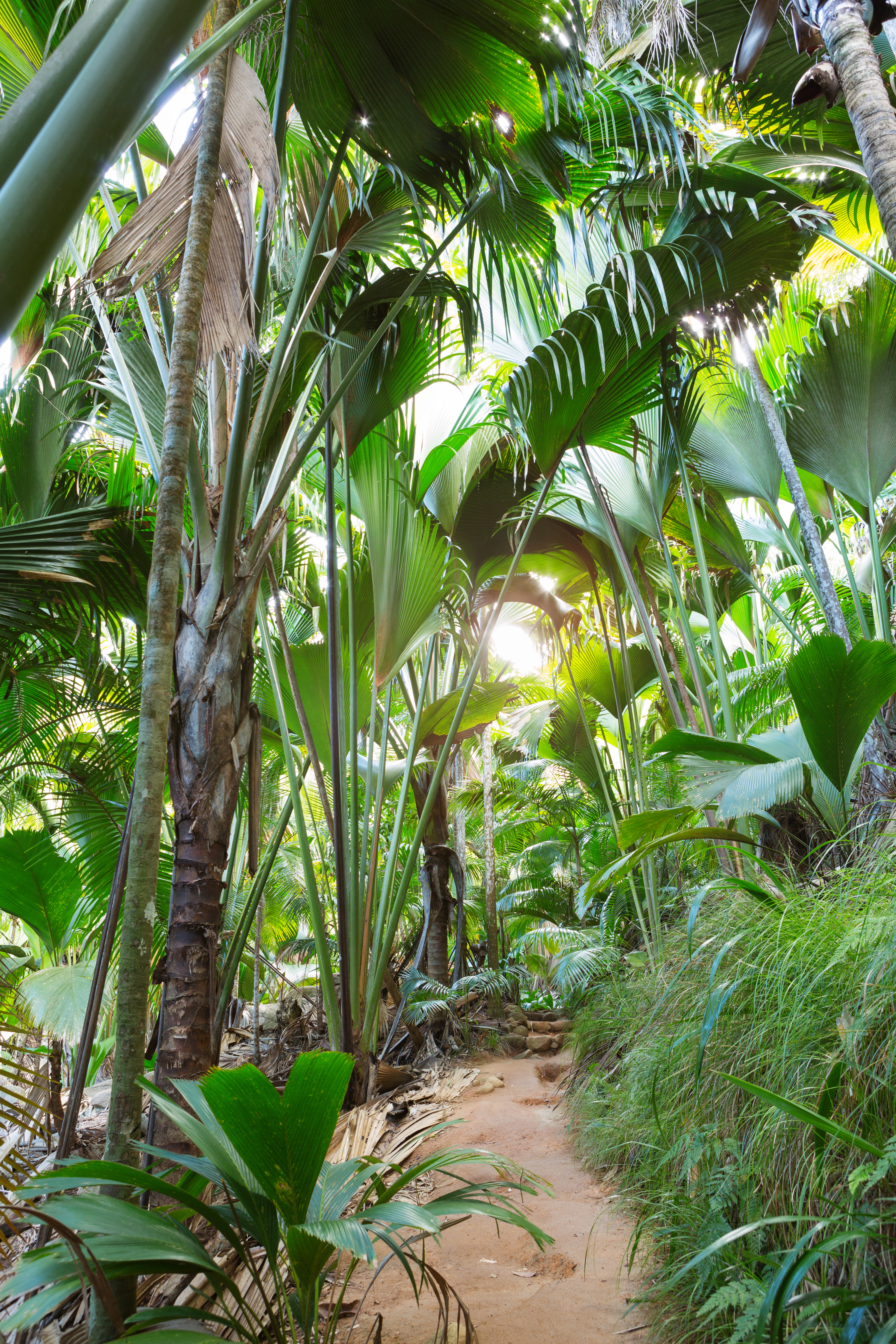 Combiné Praslin - La Digue - Mahé