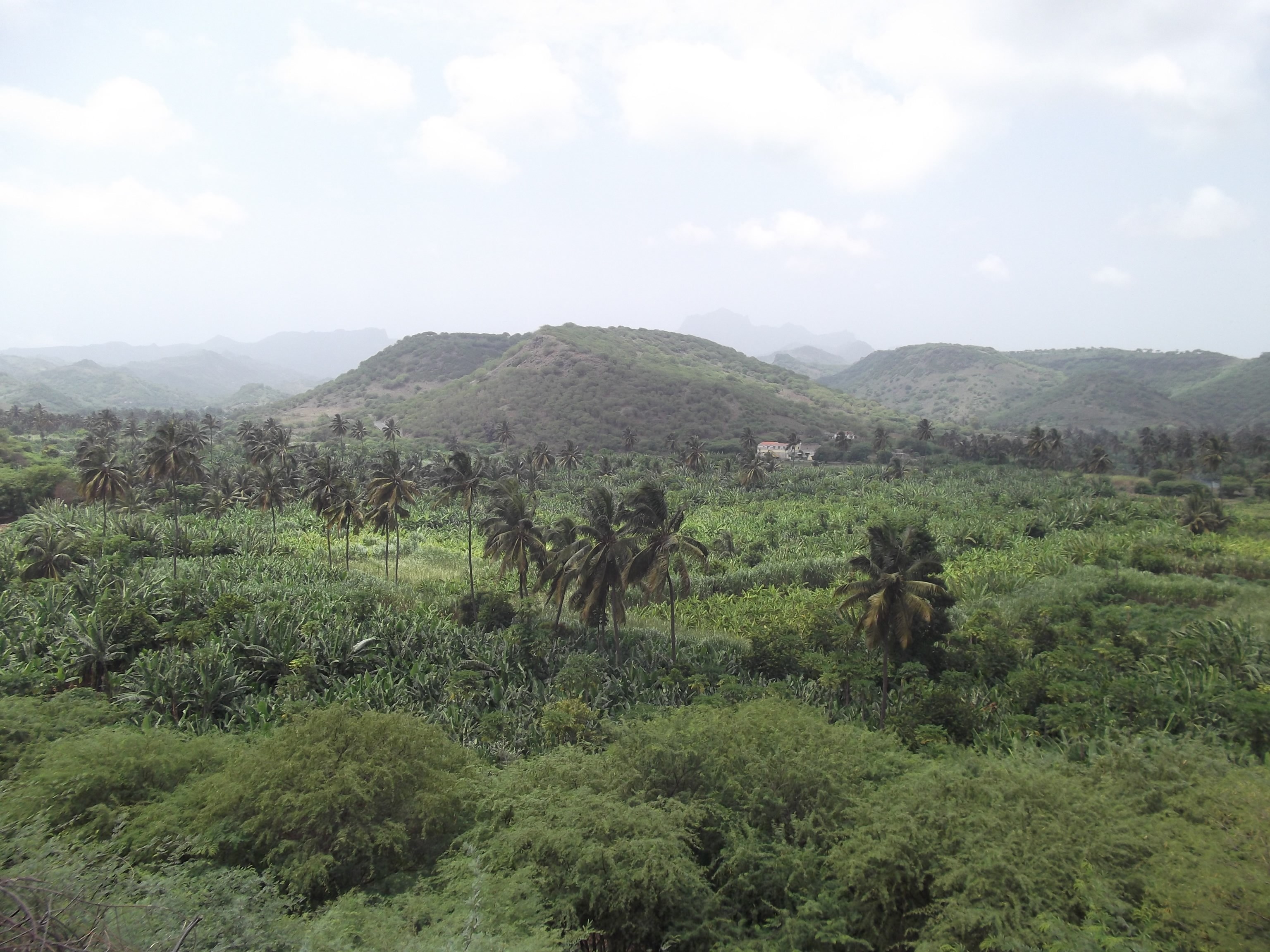 Circuit 4 îles entre randonnées et plage
