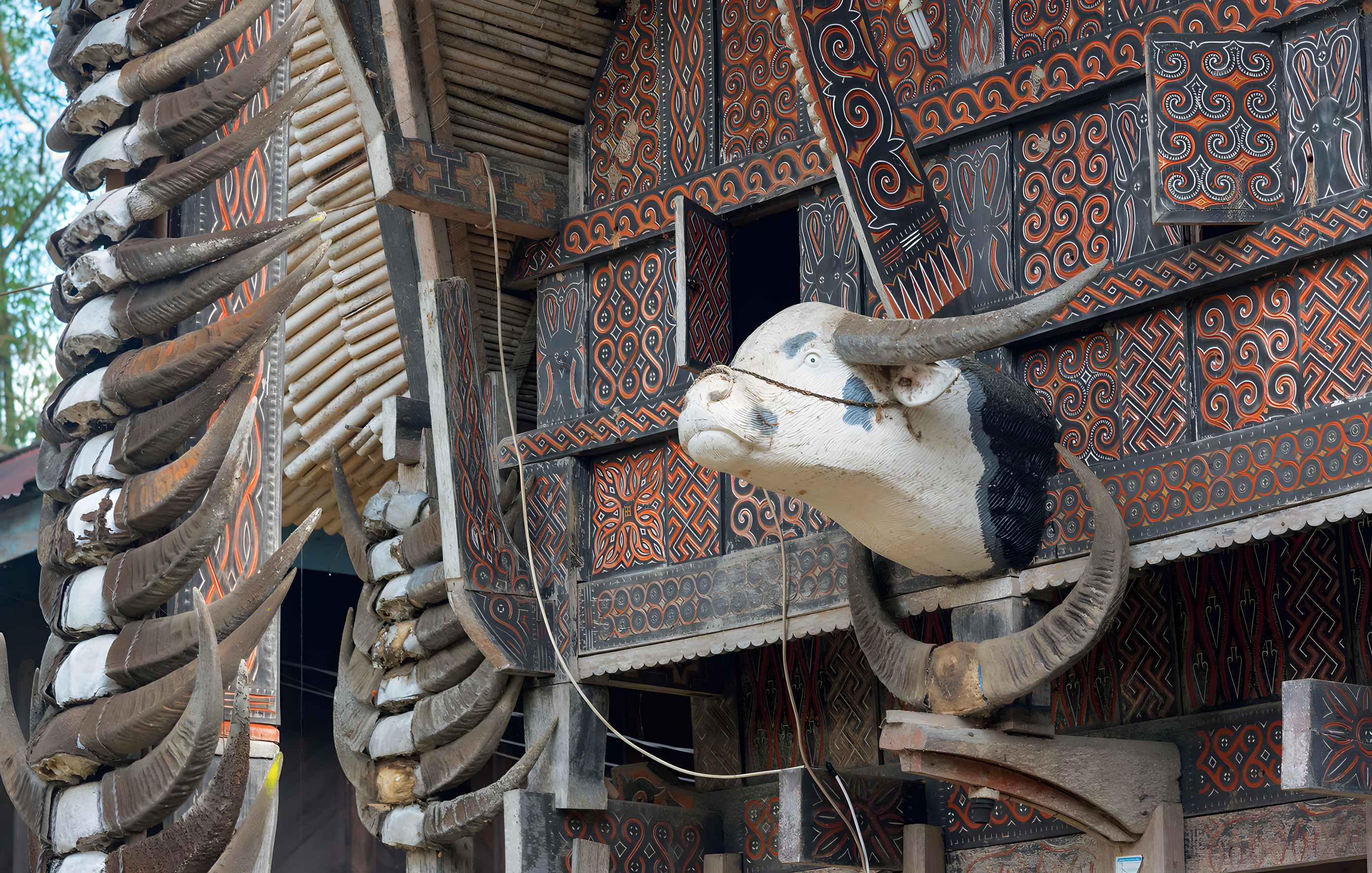 Rencontre avec les Torajas