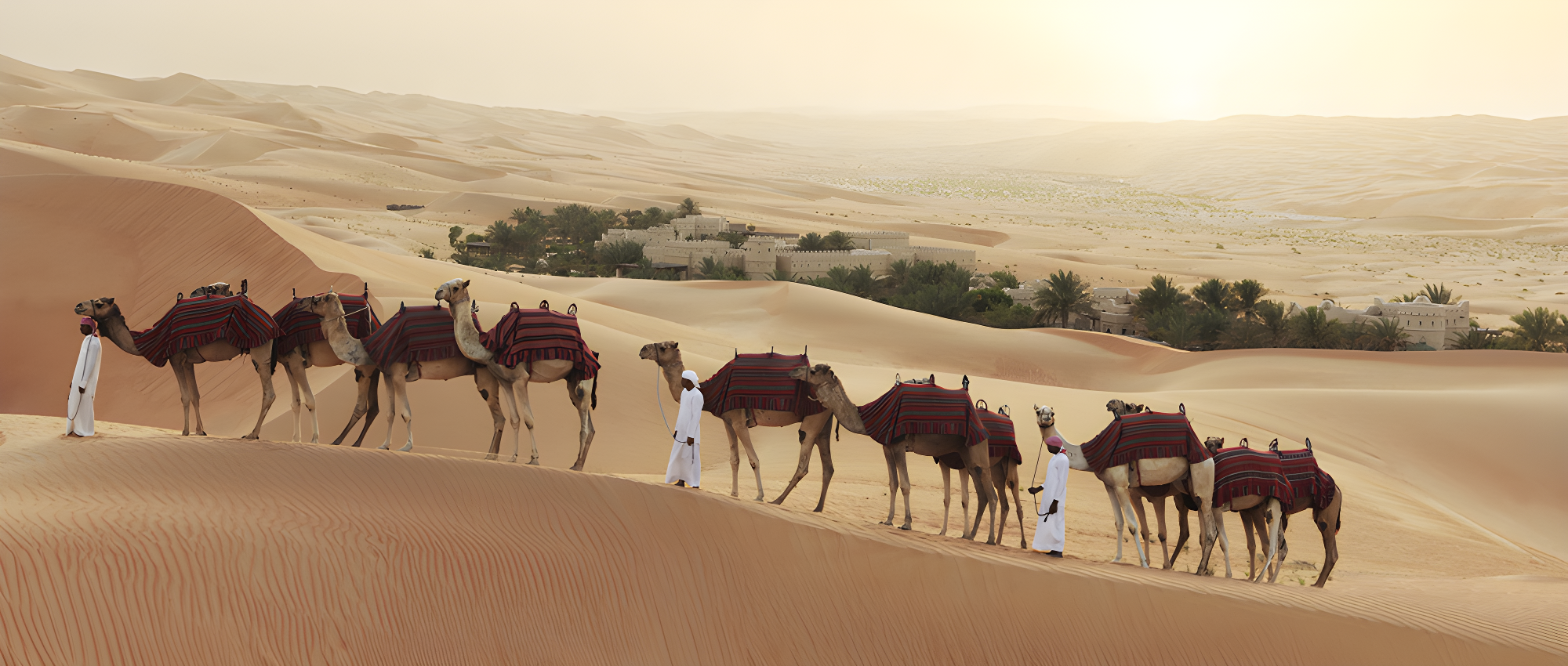 A la découverte d'Abu Dhabi