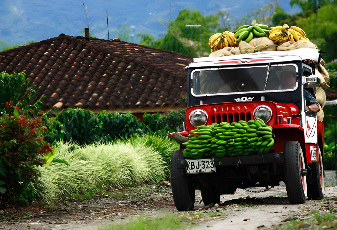 Des Andes aux Caraïbes