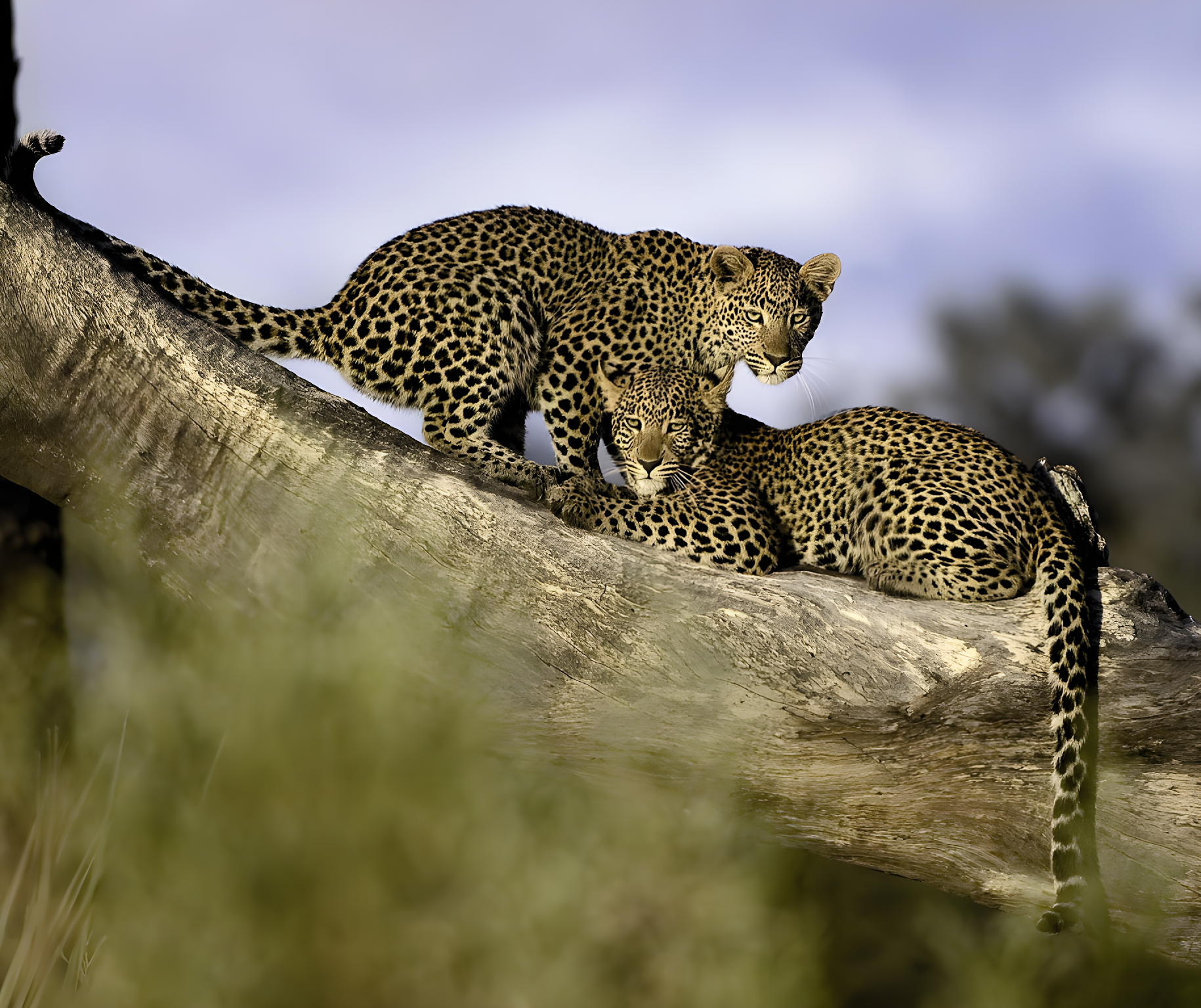 Idées d'itinéraires