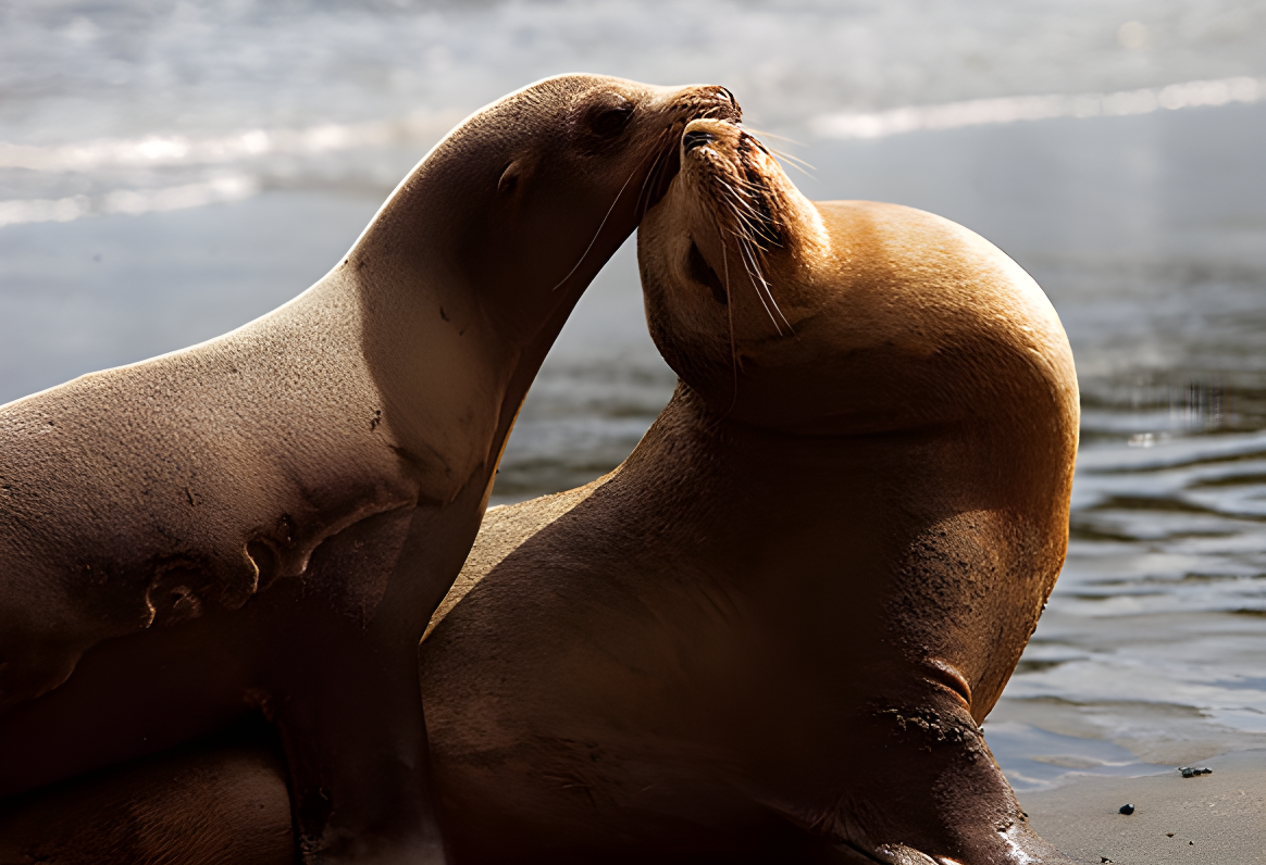 La contrée des espaces infinis