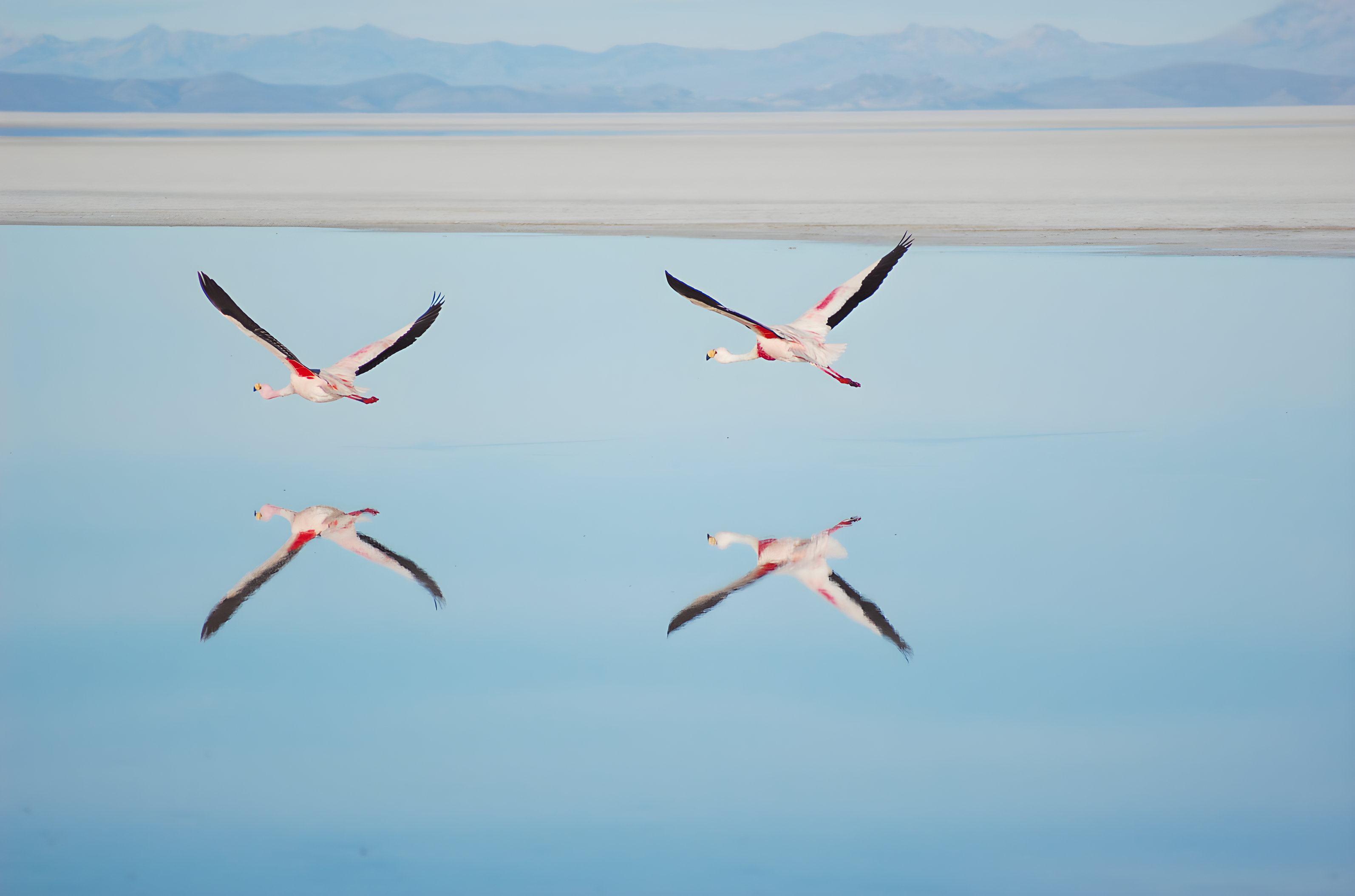 D'Atacama au Salar d'Uyuni