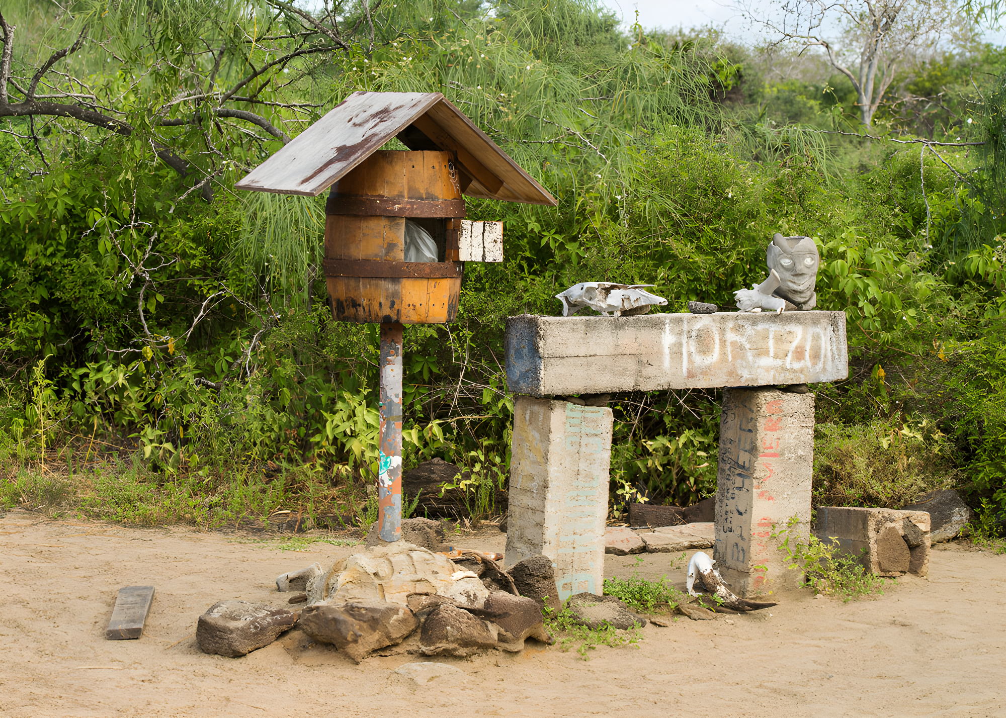 L'Essentiel des Galapagos