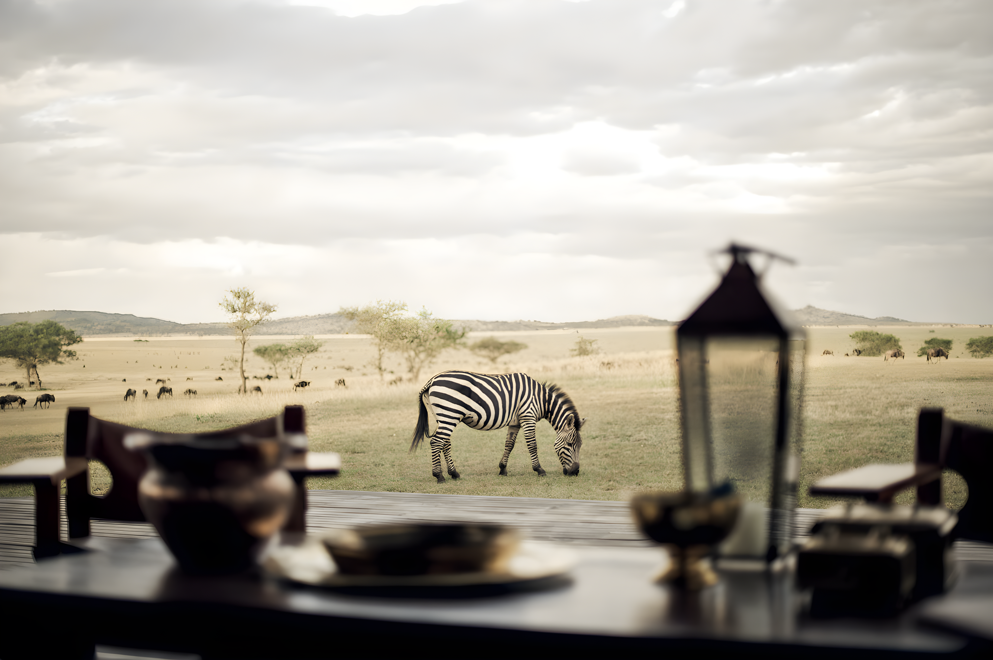Rêves africains