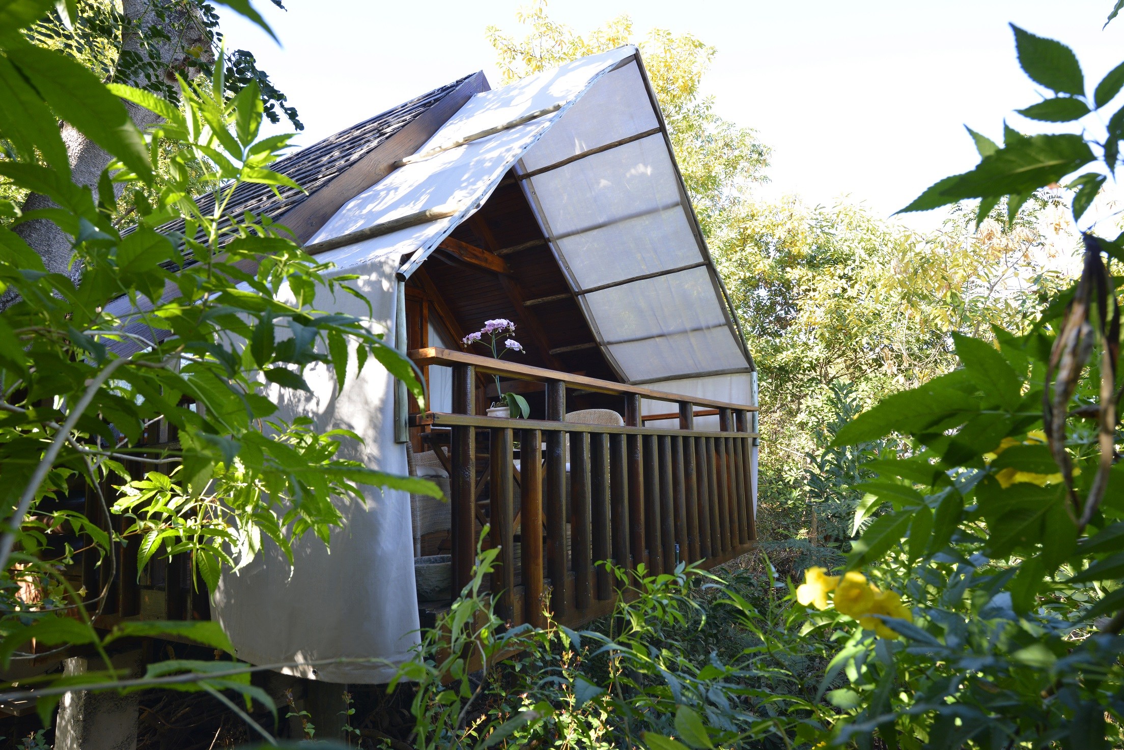 Lodge Roche Tamarin & Spa