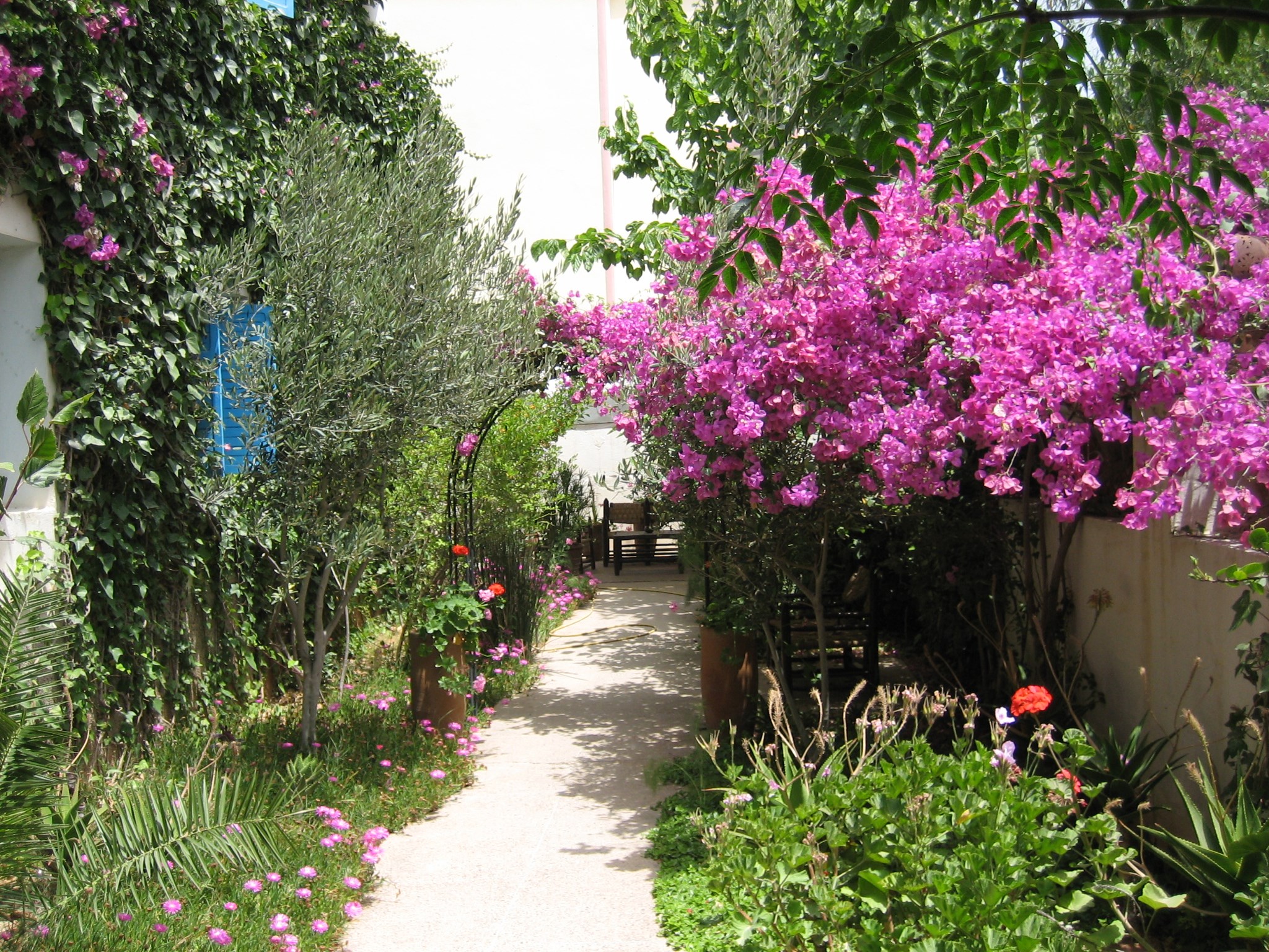 Hôtel VENT DES DUNES