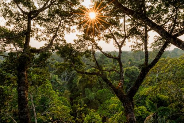 La Selva Amazone Ecolodge