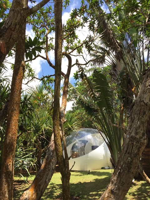 A la découverte de l'île Maurice