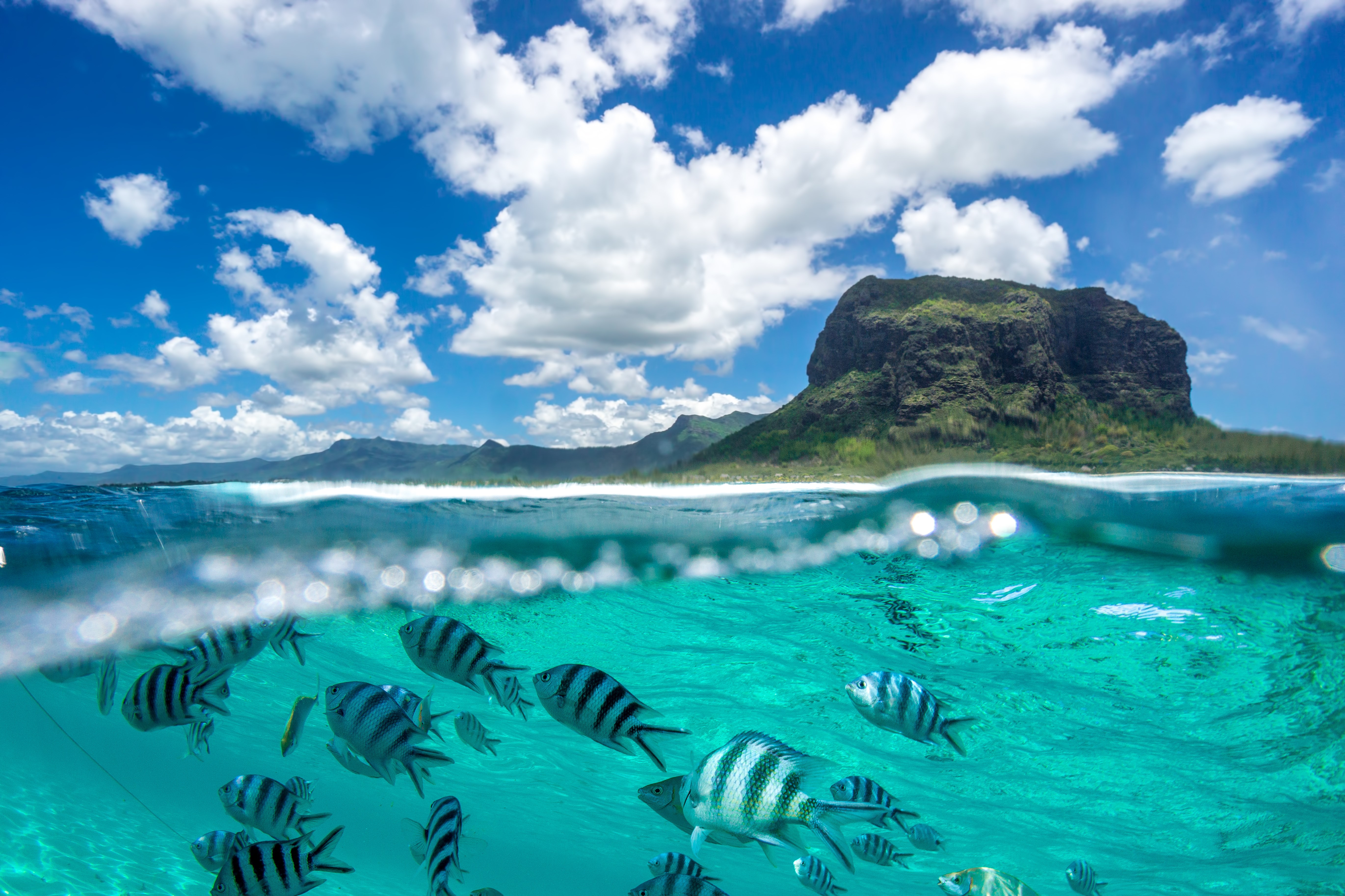 Croisière Le Morne Dream