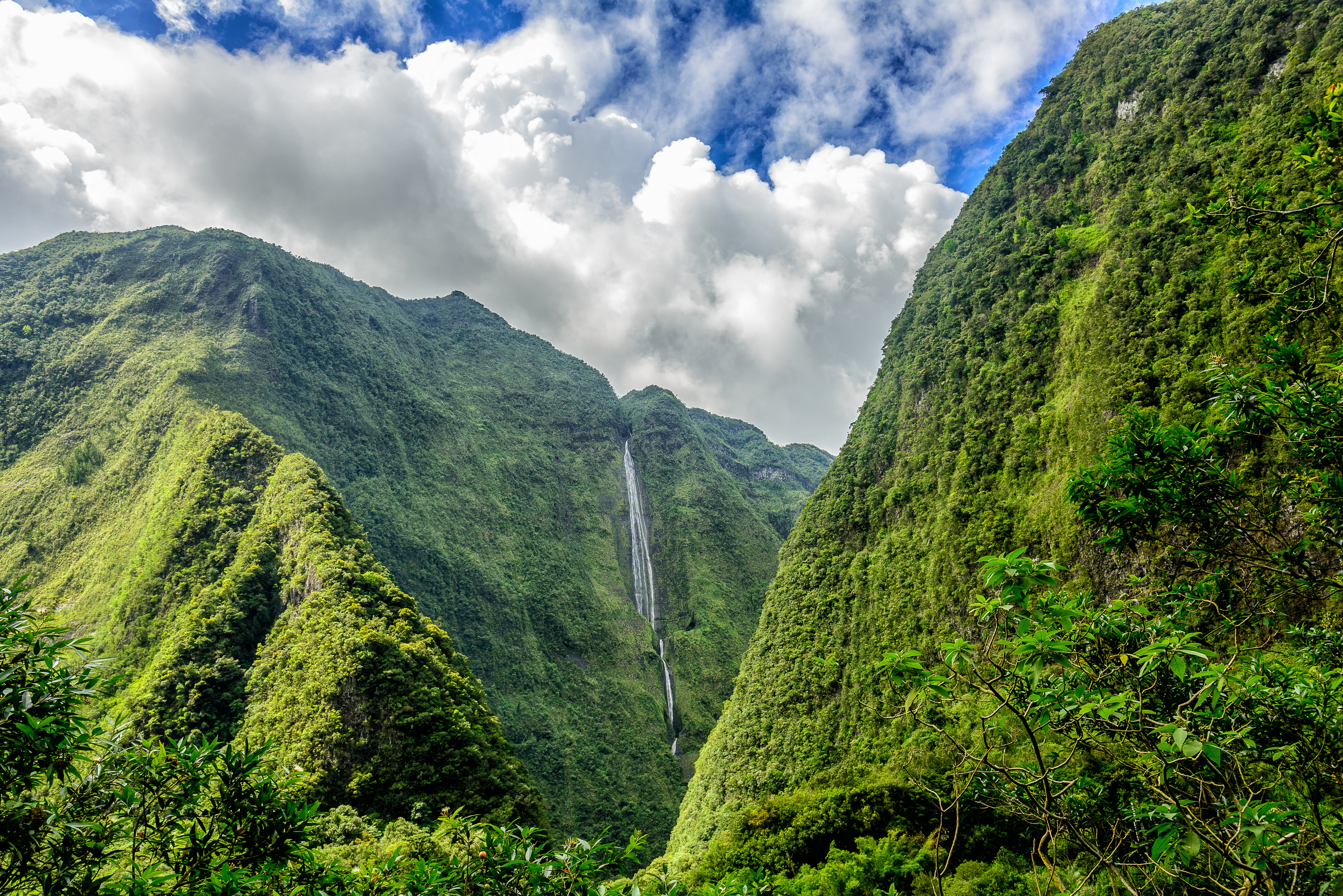 La Réunion Nature
