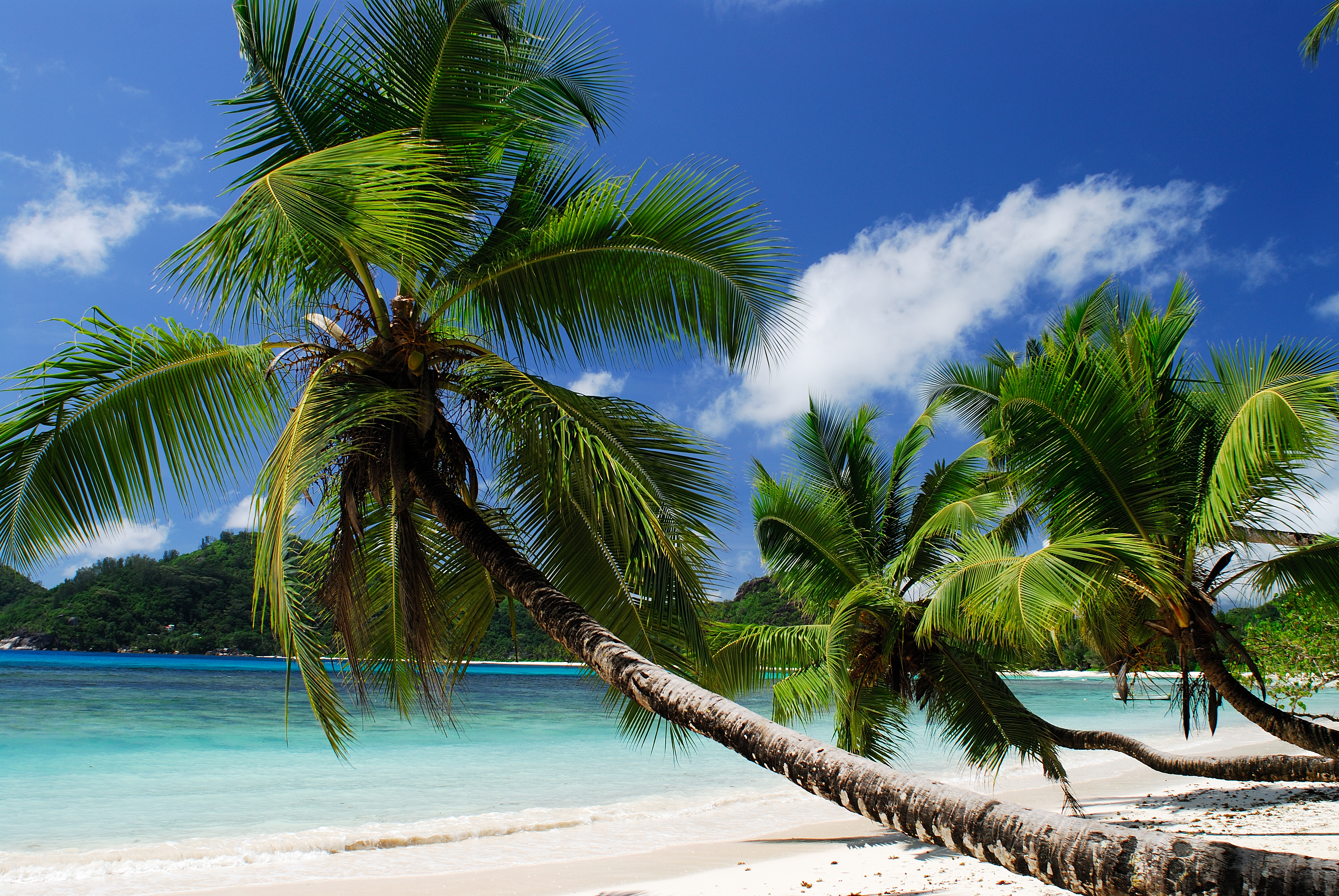 Combiné Praslin - La Digue - Mahé
