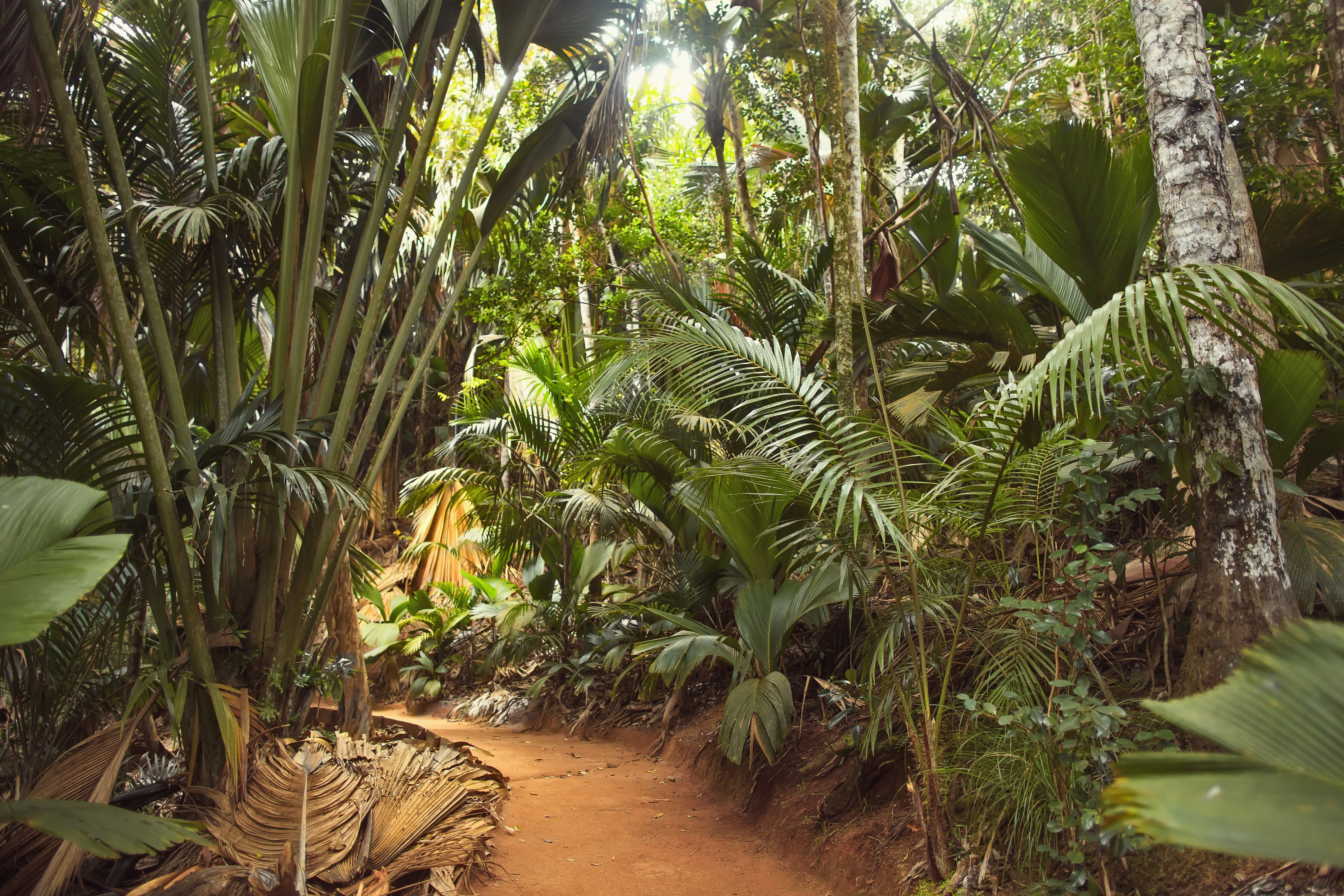 Combiné Praslin - Mahé